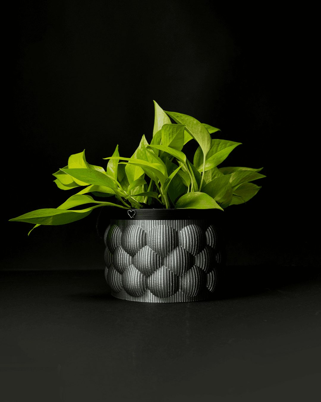 🪴 Self-Watering Plant Pot – 3D Printed Minimalist Planter (3 Sizes)