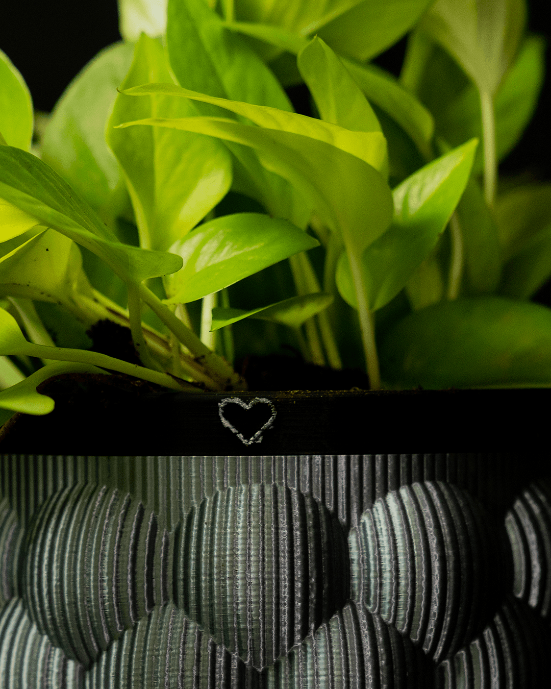 🪴 Self-Watering Plant Pot – 3D Printed Minimalist Planter (3 Sizes)