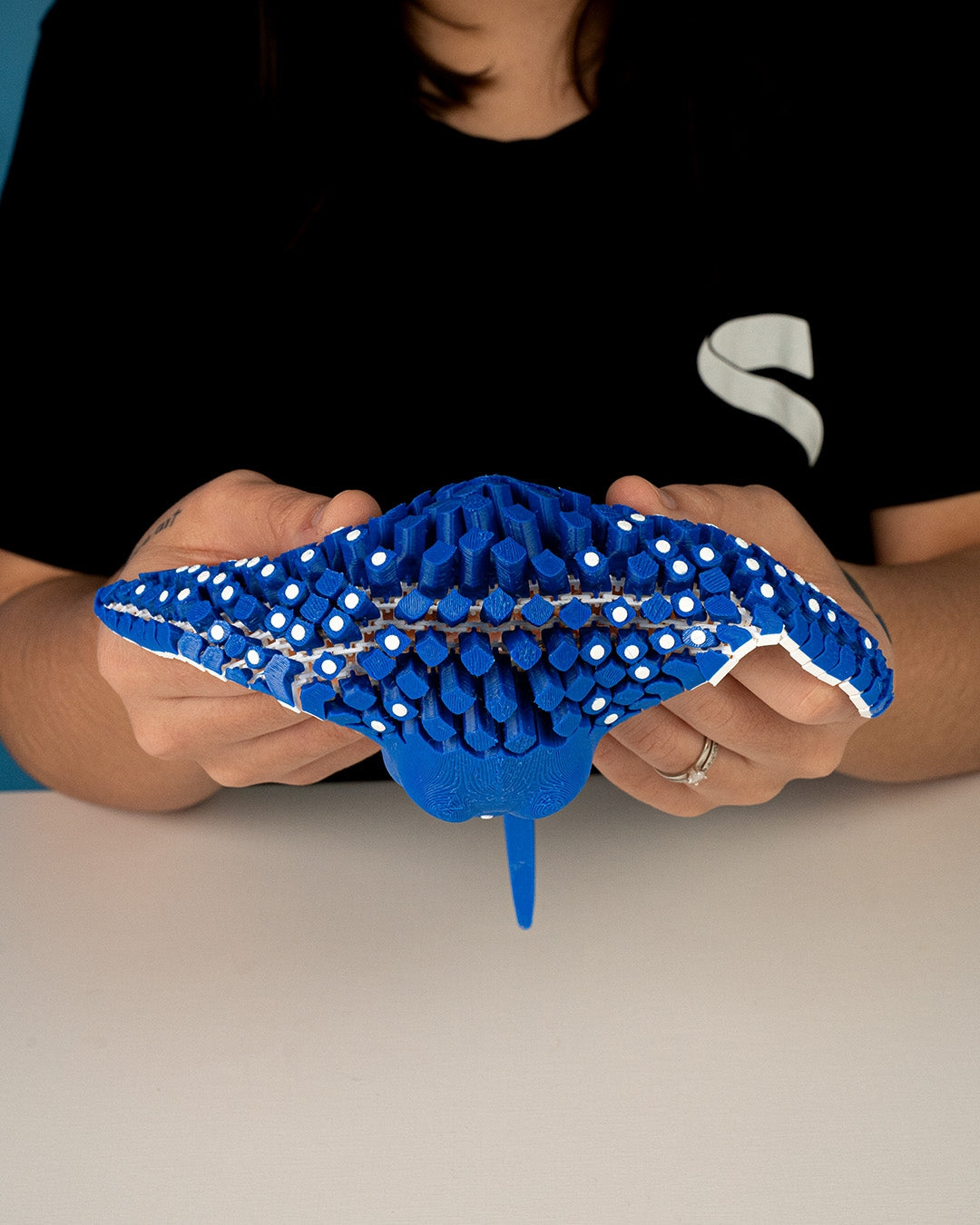 Igor the Spotted Eagle Ray – Flexible Desk Fidget | Sensory Stress Relief | Ocean-Inspired Desk Accessory | Home & Office Décor