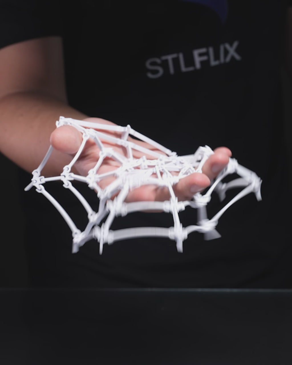 The Spider’s Web – Halloween Sweet Dish | Spooky Desk & Table Décor | Gothic 3D Printed Bowl