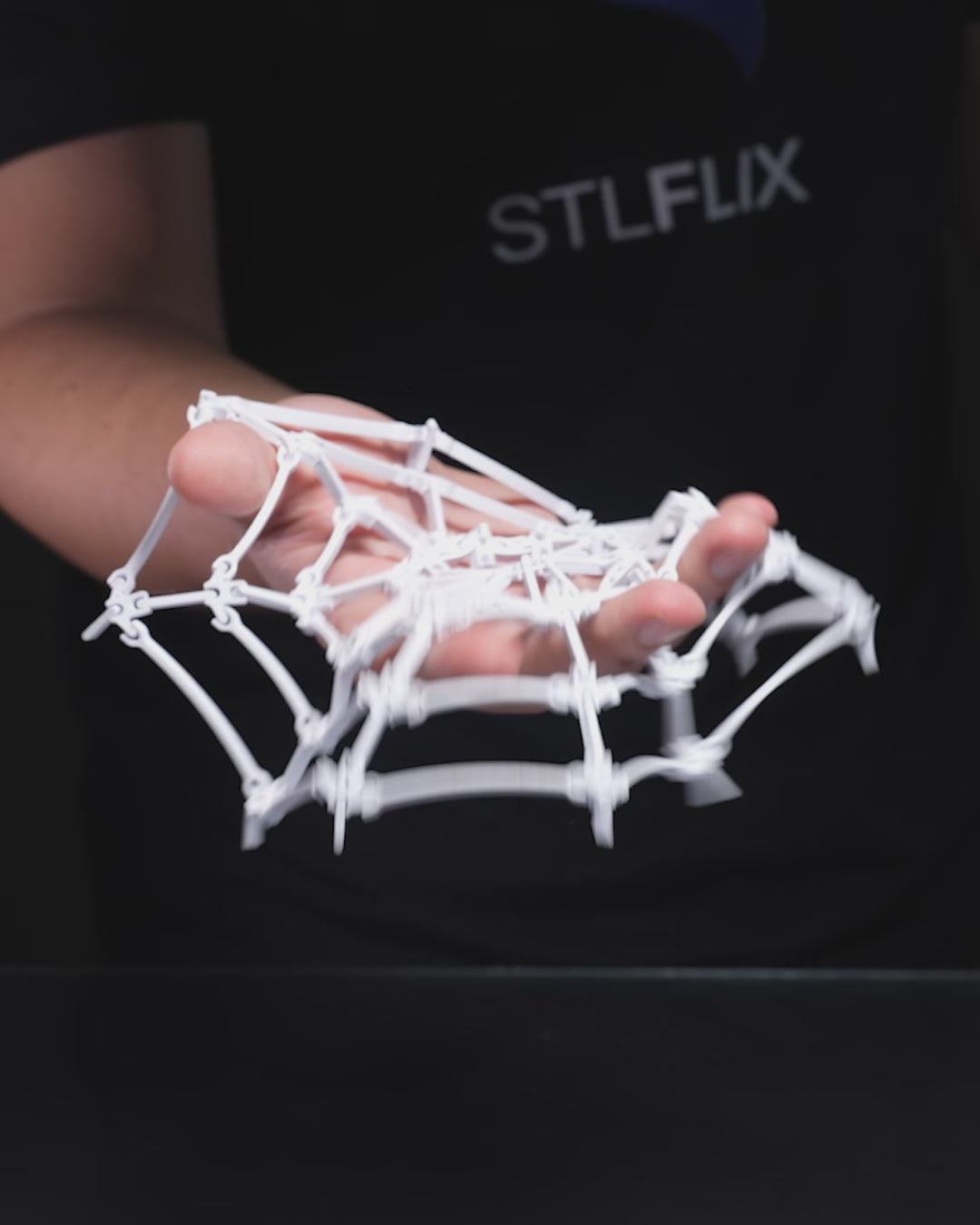 The Spider’s Web – Halloween Sweet Dish | Spooky Desk & Table Décor | Gothic 3D Printed Bowl
