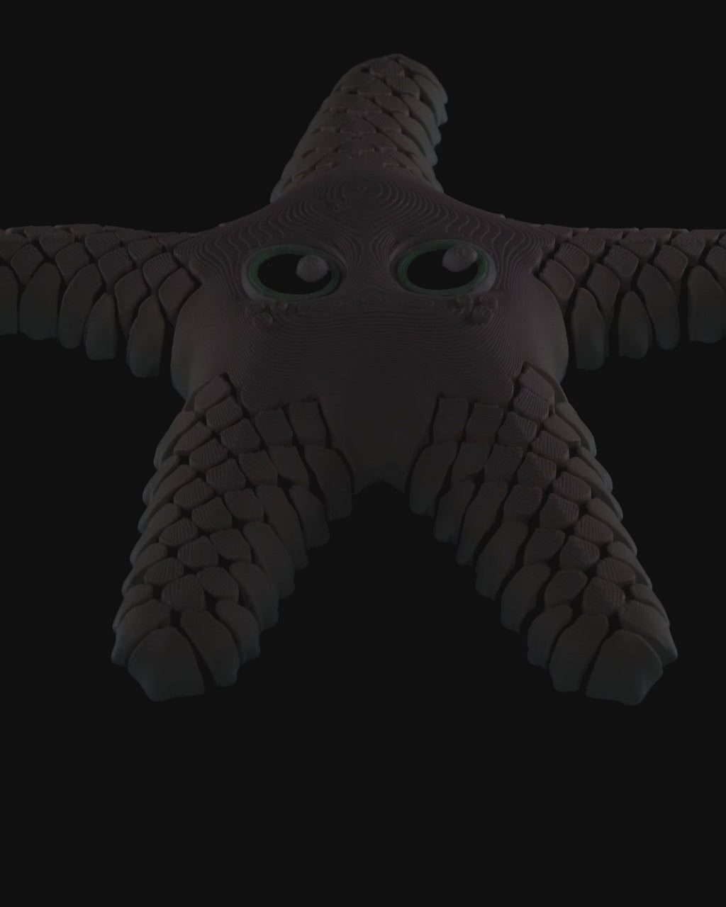Sandy the Sea Star – Flexible Desk Fidget | Office Stress Relief | Sensory Desk Accessory | Home & Office Décor