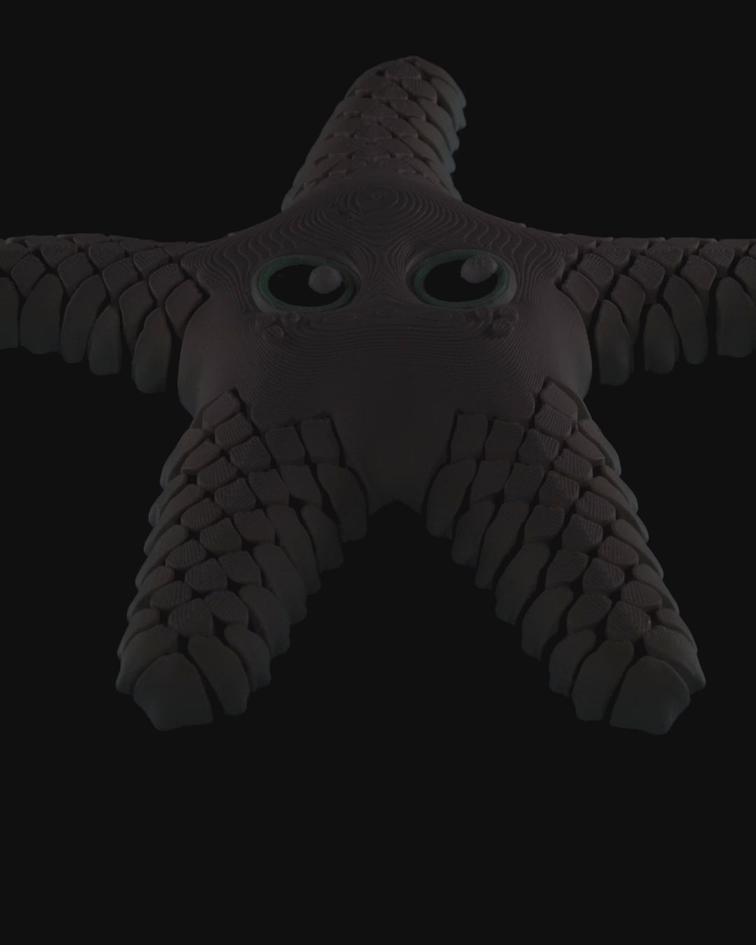 Sandy the Sea Star – Flexible Desk Fidget | Office Stress Relief | Sensory Desk Accessory | Home & Office Décor